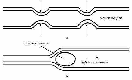 Ветеринарный справочник для владельцев кошек - i_014.png