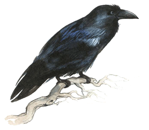 Лето разноцветно-косолапое - i_015.png