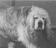 Будущее уже не то, что прежде - i_002.jpg