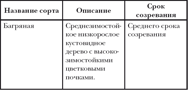 Вишня, слива, абрикос - i_006.png