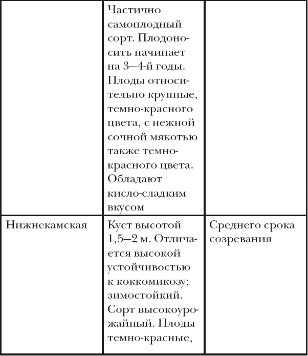 Вишня, слива, абрикос - i_007.png