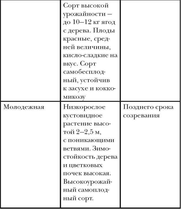 Вишня, слива, абрикос - i_013.png