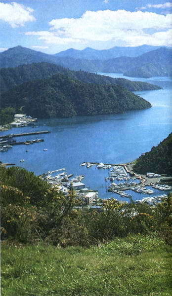 Загадки и тайны морей и океанов - i_008.jpg