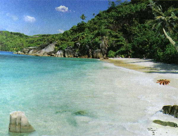 Загадки и тайны морей и океанов - i_010.jpg