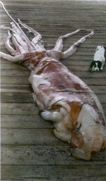 Загадки и тайны морей и океанов - i_013.jpg