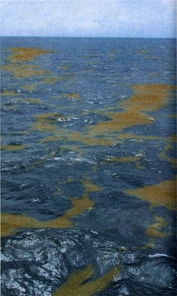 Загадки и тайны морей и океанов - i_014.jpg