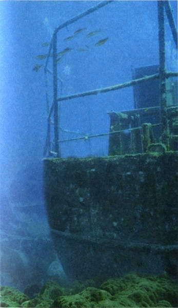 Загадки и тайны морей и океанов - i_020.jpg