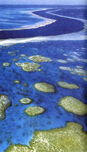 Загадки и тайны морей и океанов - i_023.jpg