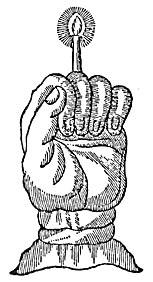 Как стать ведьмой (СИ) - img_1.jpeg