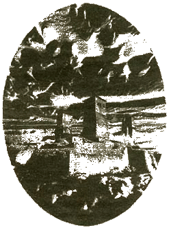 Как стать ведьмой (СИ) - img_4.png