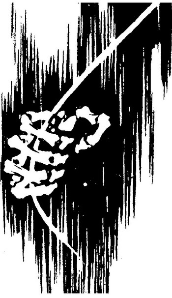 Дороги надежд (сборник) - i_003.jpg