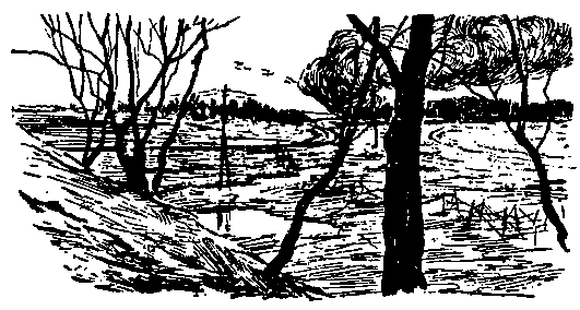 Двое (Сборник) - pic_9.png