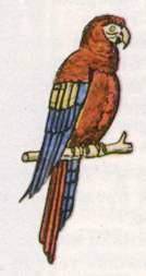 Капитан Крузенштерн - i_009.jpg