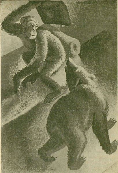 Разноцветные моря - i_006.jpg