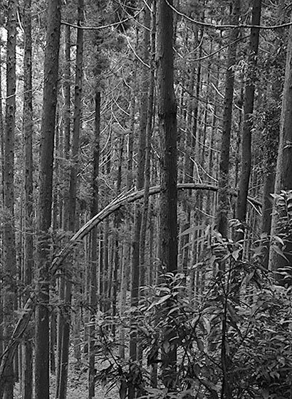 Самураи. Первая полная энциклопедия - i_012.jpg