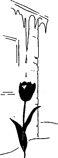 Супер память для всех - image126.png