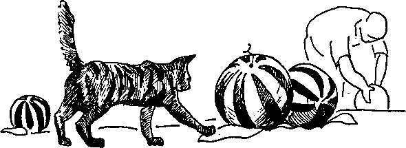 Супер память для всех - image128.png