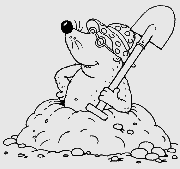 1000 загадок обо всем на свете - i_011.png