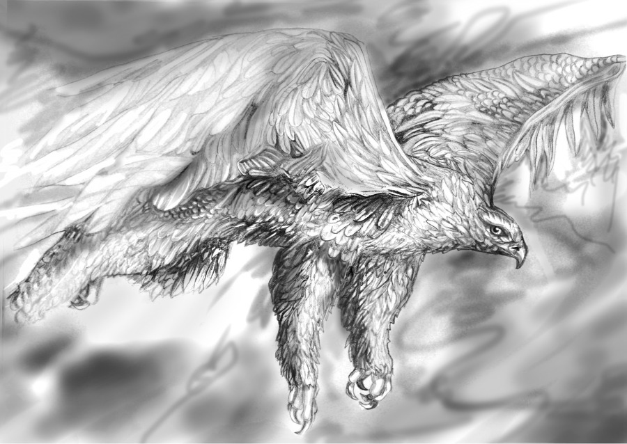 Бури - image4_5587d59fe8a7076734572cac_jpg.jpeg