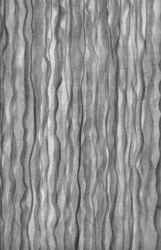 Фёдор Шаляпин<br />(Очерк жизни и творчества) - i_002.jpg