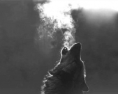 Мишка (СИ) - автор Седов Сергей Анатольевич 