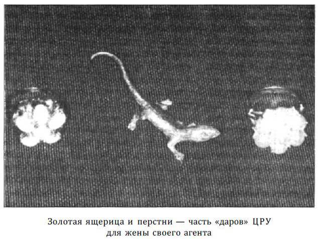 «Оборотни» из военной разведки - i_082.jpg