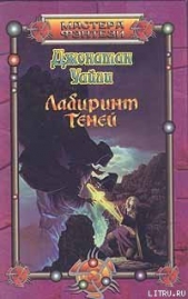 Лабиринт теней - автор Уайли Джонатан 