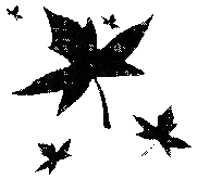 Красавица из 5 «В» - i_007.png