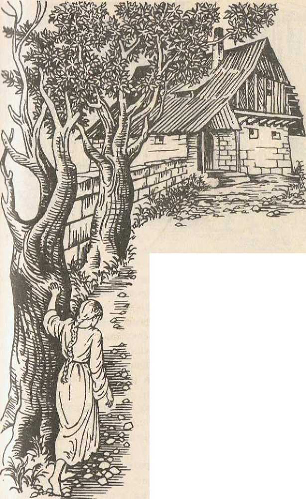 Исполнение предсказаний - _7.jpg