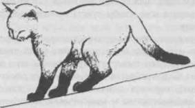 Перевод с кошачьего: Научитесь разговаривать со своей кошкой - i_043.jpg