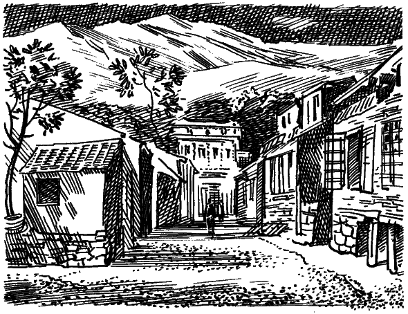 Путешествие парижанки в Лхасу - i_022.png