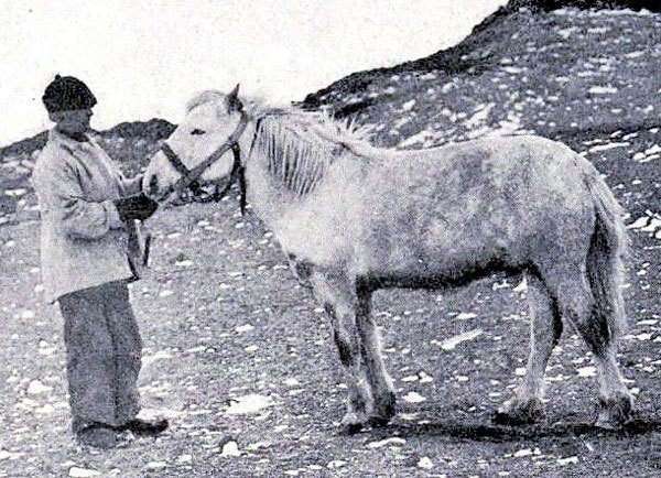 Белый континент (с илл.) (СИ) - i_018.jpg