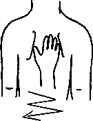 Целительство. Том 2. Введение в анатомию: структурный массаж - i_010.png
