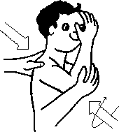 Целительство. Том 2. Введение в анатомию: структурный массаж - i_034.png