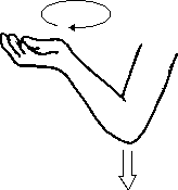 Целительство. Том 2. Введение в анатомию: структурный массаж - i_041.png