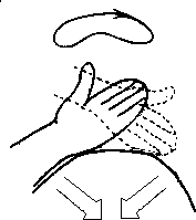 Целительство. Том 2. Введение в анатомию: структурный массаж - i_042.png