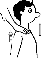 Целительство. Том 2. Введение в анатомию: структурный массаж - i_050.png