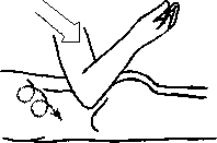 Целительство. Том 2. Введение в анатомию: структурный массаж - i_078.png