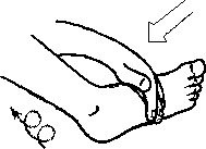 Целительство. Том 2. Введение в анатомию: структурный массаж - i_123.png