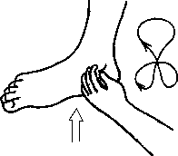 Целительство. Том 2. Введение в анатомию: структурный массаж - i_134.png