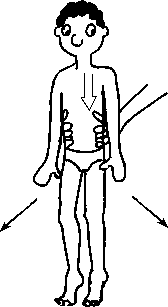 Целительство. Том 2. Введение в анатомию: структурный массаж - i_139.png