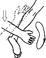 Целительство. Том 2. Введение в анатомию: структурный массаж - i_141.png