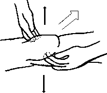 Целительство. Том 2. Введение в анатомию: структурный массаж - i_145.png