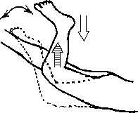 Целительство. Том 2. Введение в анатомию: структурный массаж - i_155.png