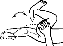 Целительство. Том 2. Введение в анатомию: структурный массаж - i_167.png