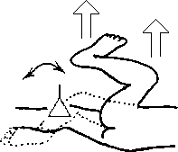 Целительство. Том 2. Введение в анатомию: структурный массаж - i_170.png