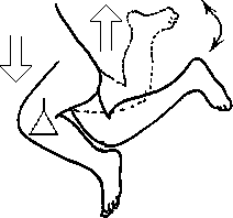 Целительство. Том 2. Введение в анатомию: структурный массаж - i_171.png