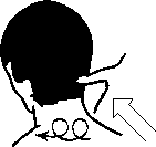 Целительство. Том 2. Введение в анатомию: структурный массаж - i_179.png