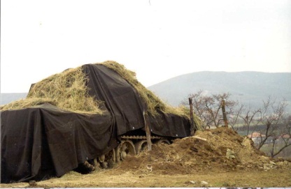 Русские волки - i_006.jpg