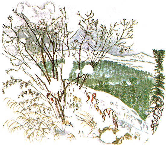 Золотая Ригма - i_002.jpg